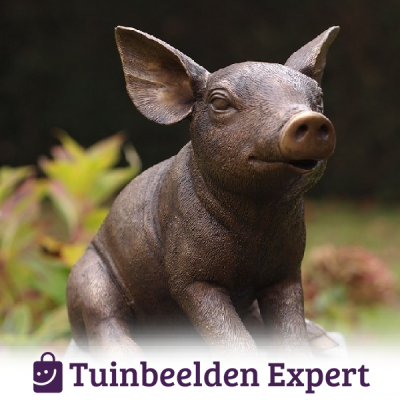 tuinbeeld zittend varkentje