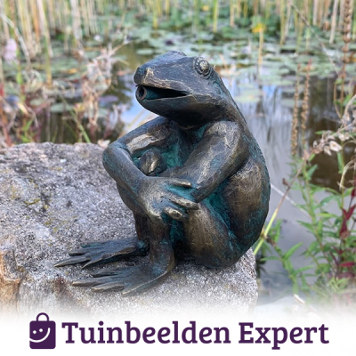 spuitfiguurtje kikker