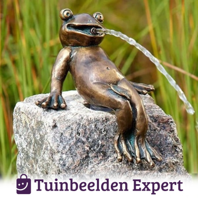 Waterspuitfiguur kikker