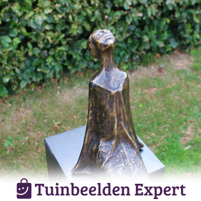 zon en sterrenkijker