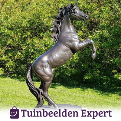 dierenbeeld steigerend paard tuin