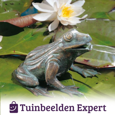 spuitfiguurtje van een kikkertje